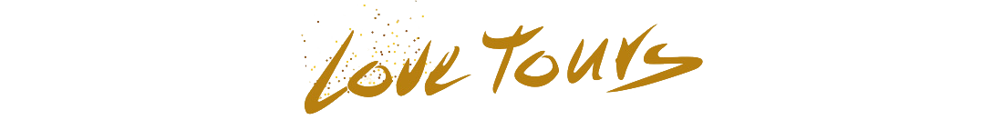 Logo Lovetours